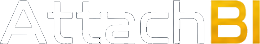  ATTACH BI - REP